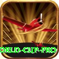 2019 world cup VIP v5.2.6