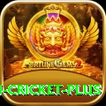 afghanistan cricket - Slots Turbo