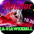 antigua hawksbill Turbo Pro v3.4.8