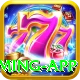 Barha Win Mega Gaming App