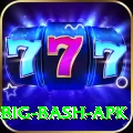 bbl big bash apk Turbo v4.8.5