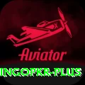 bingopkr VIP Edition v3.5.8