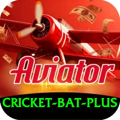 cricket bat Champion New - 2