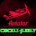 cricket jersey Pro1 v5.0.4