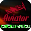 cricket pitch Deluxe v5.3.7