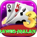 dawid malan Plus Edition v4.0.4