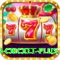 fastest ball in cricket Pakistan Champion v3.1.5