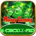 fastest ball in cricket - Casino Prime