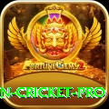 india pakistan cricket Pakistan Ultimate v1.7.0