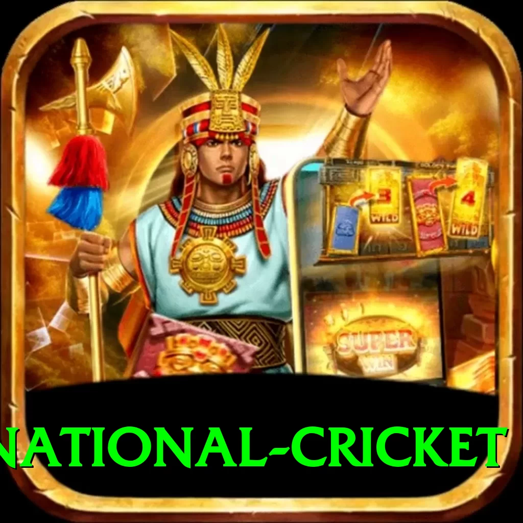 international cricket Premium Edition v2.4.3 - 2