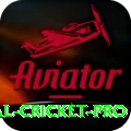 international cricket Mega PK v2.0.1