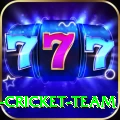 ireland cricket team Premium Plus v1.5.7