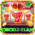 new zealand cricket team Pro1 v2.1.4