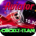 pakistan women cricket team VIP Edition v2.6.9