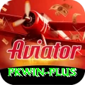 pkwin Plus Pro vv3.1.4
