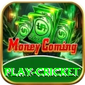 play cricket Apps (Tools & Injectors) Premium v4.1.1