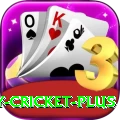 play cricket Royal Latest v1.0.9