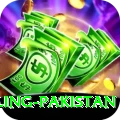 responsible gambling pakistan Elite v1.5.0