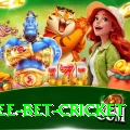 risk free bet cricket Apps (Tools & Injectors) Max v5.3.4