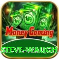 steve waugh Plus Edition v5.1.1