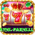 wayne parnell Games (Casino & Earning) Deluxe v4.0.2