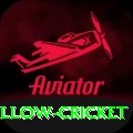 willow cricket Ultimate Pro v4.4.6