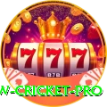 willow cricket Gaming Gold